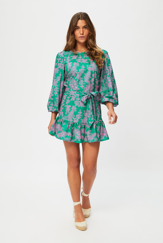 Santa Rosa Long Sleeve Mini Dress